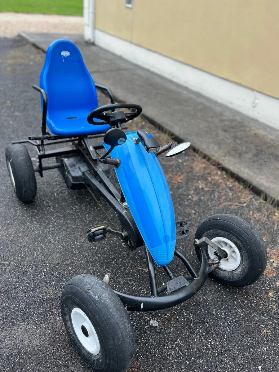 Berg go kart - Image 1