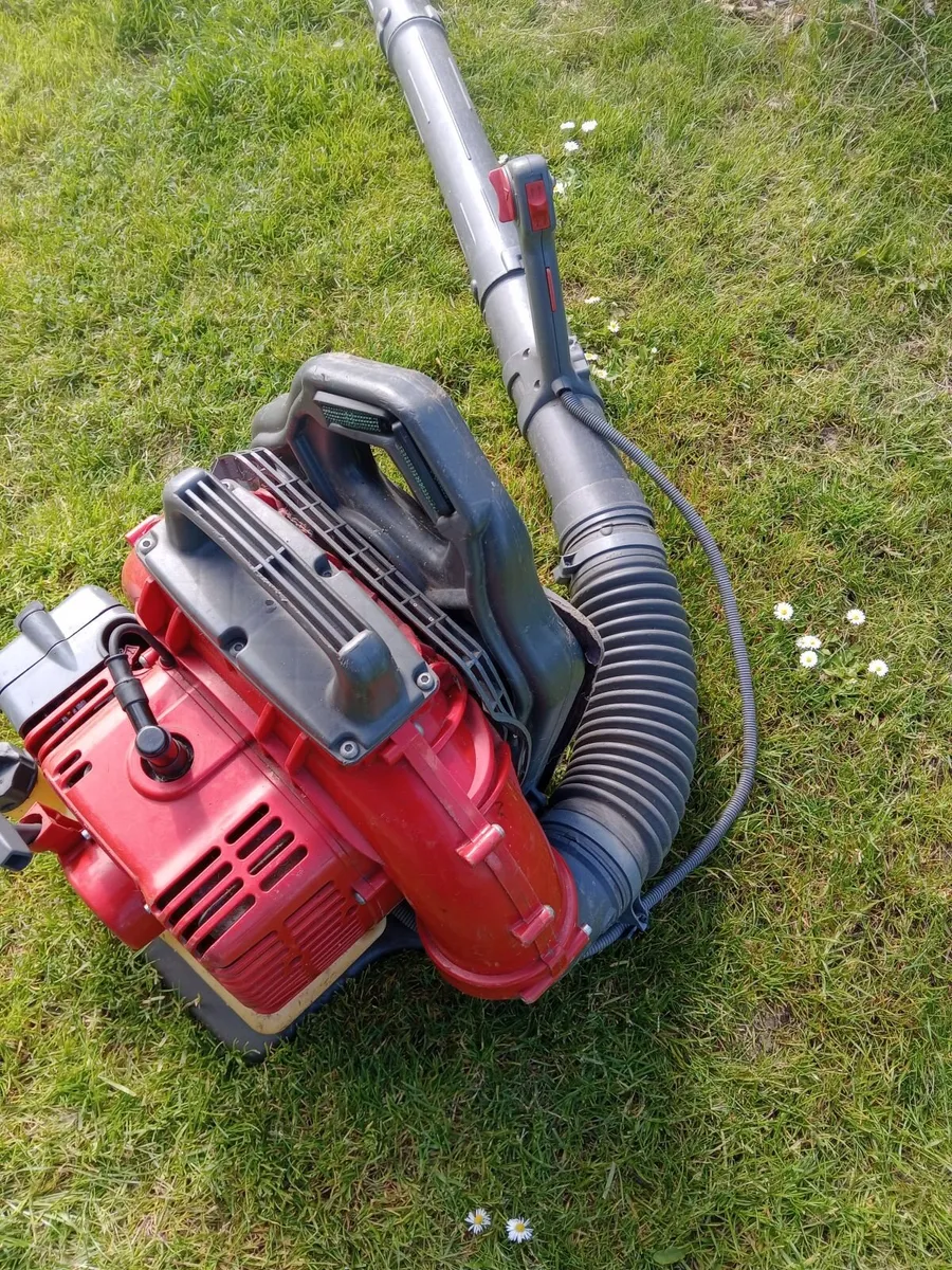 Leaf blower - Image 1