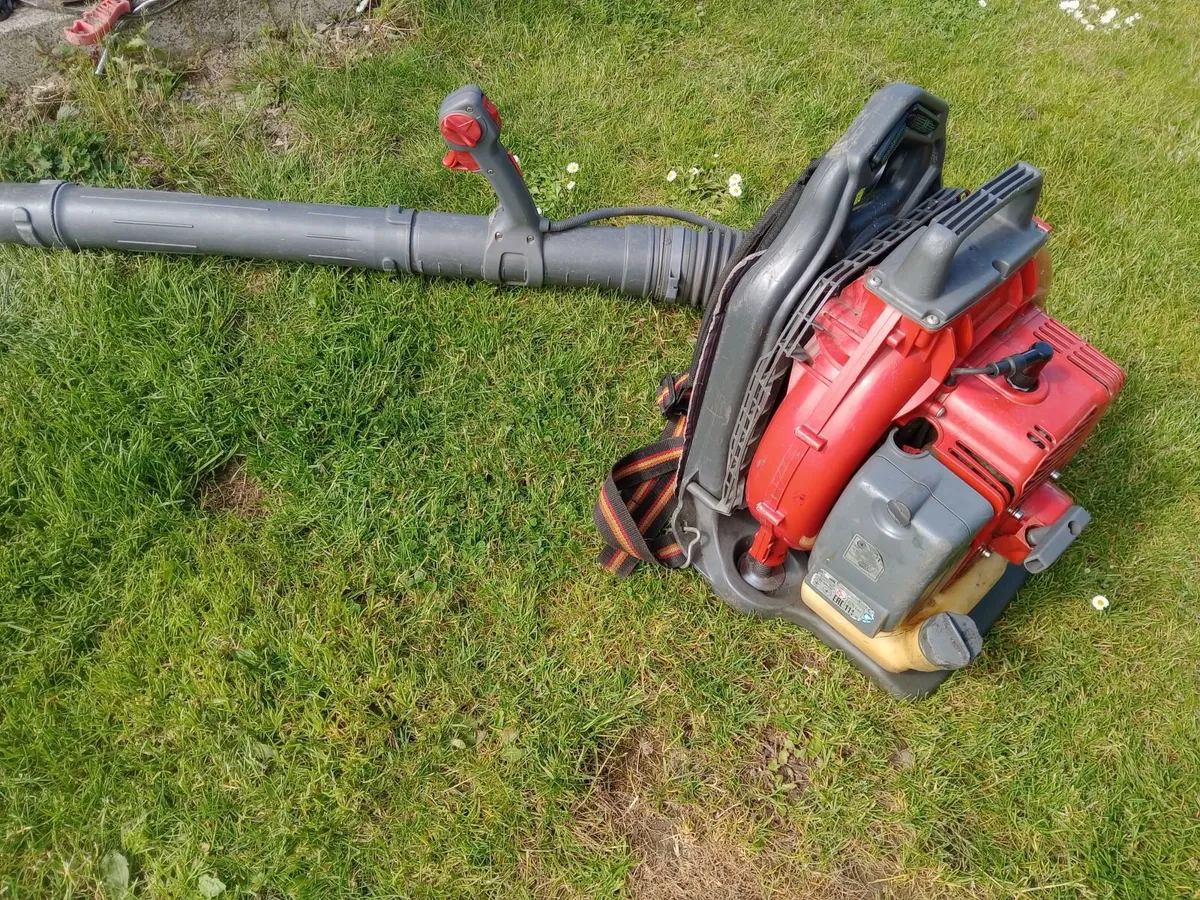 Leaf blower - Image 2