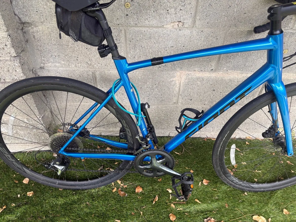 Giant contend 2 - Image 2