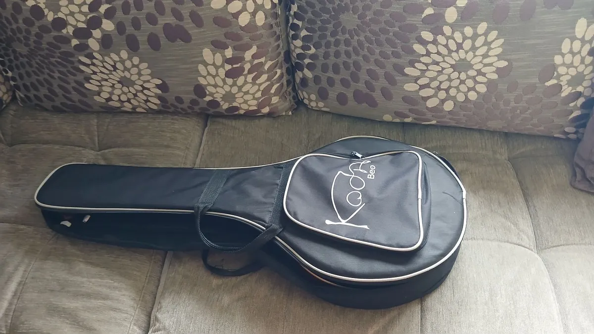 Beginners banjo - Image 2