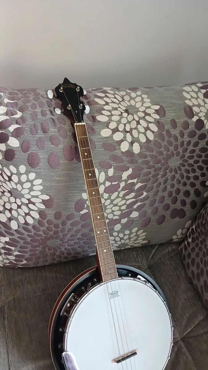 Beginners banjo - Image 3