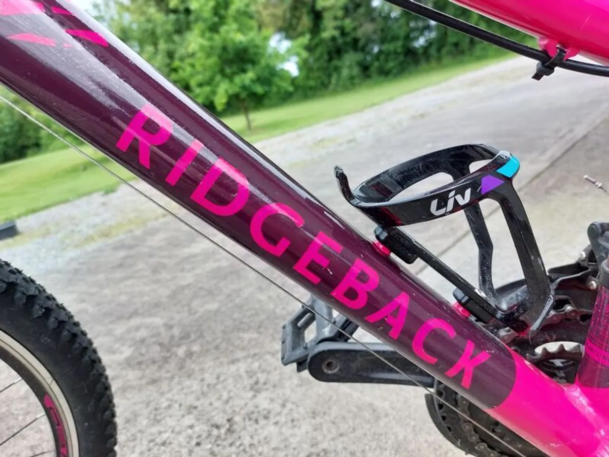 Girls Bicycle - Image 2