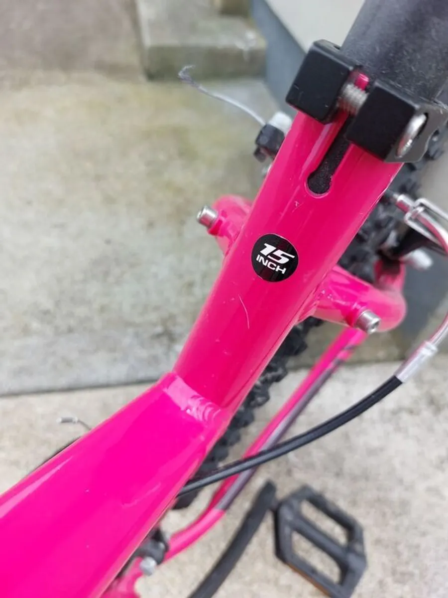 Girls Bicycle - Image 3