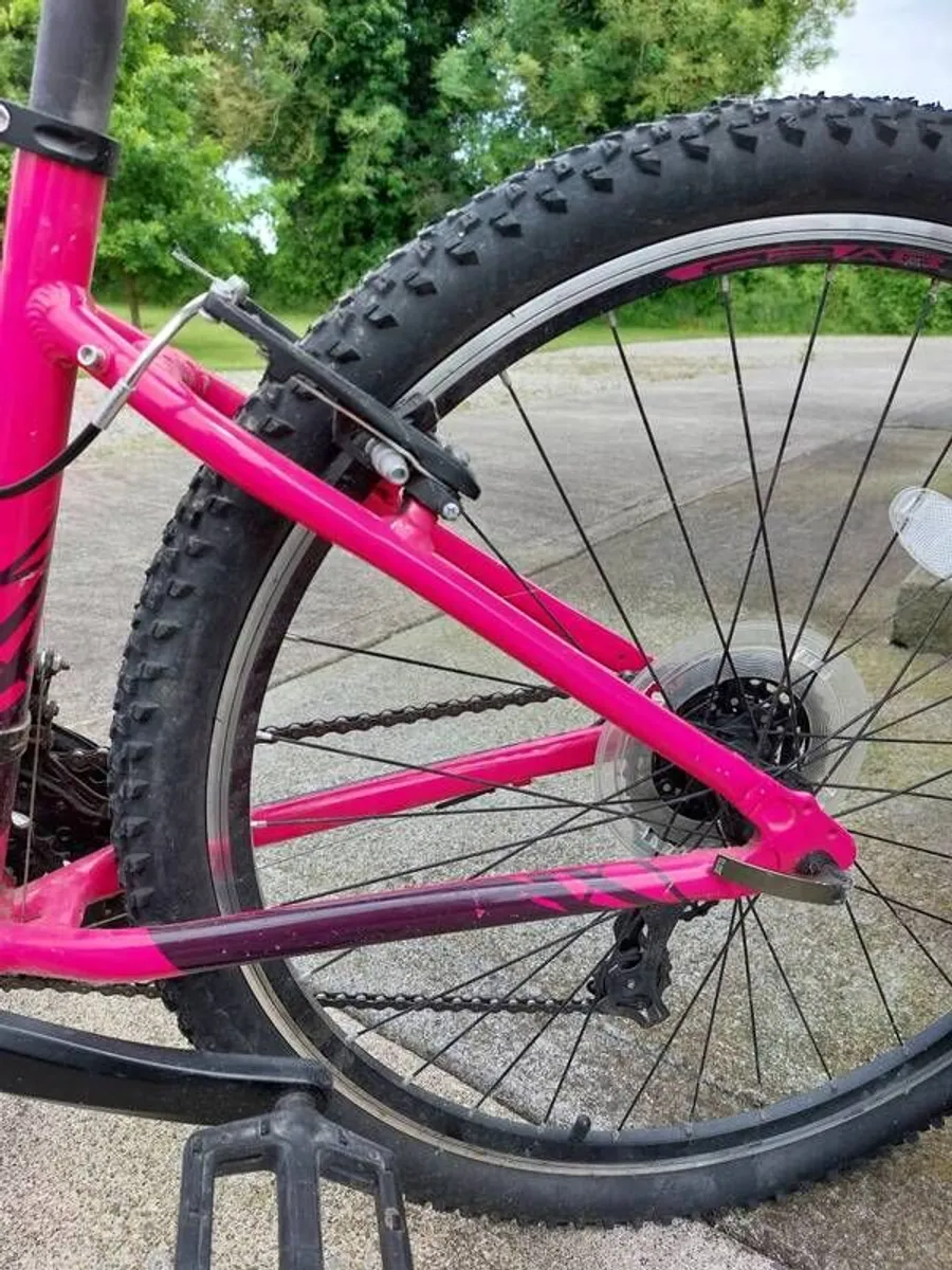 Girls Bicycle - Image 4