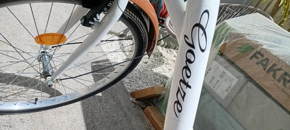 Adult Bike - Image 3