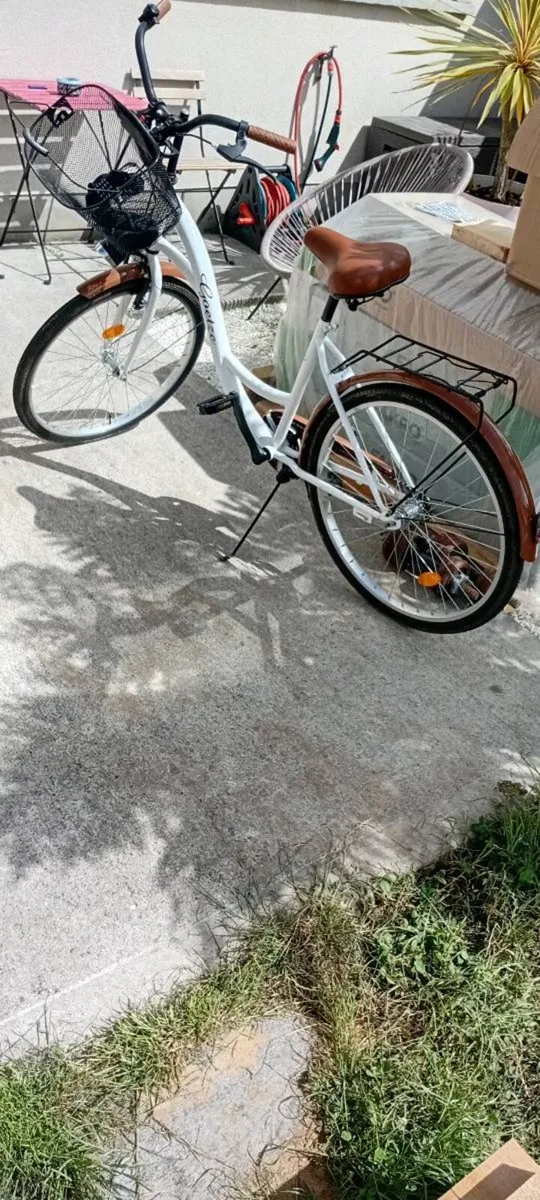 Adult Bike - Image 1
