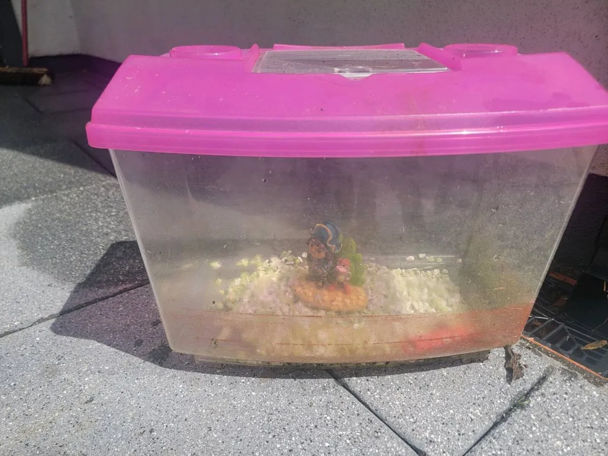 Fish tank