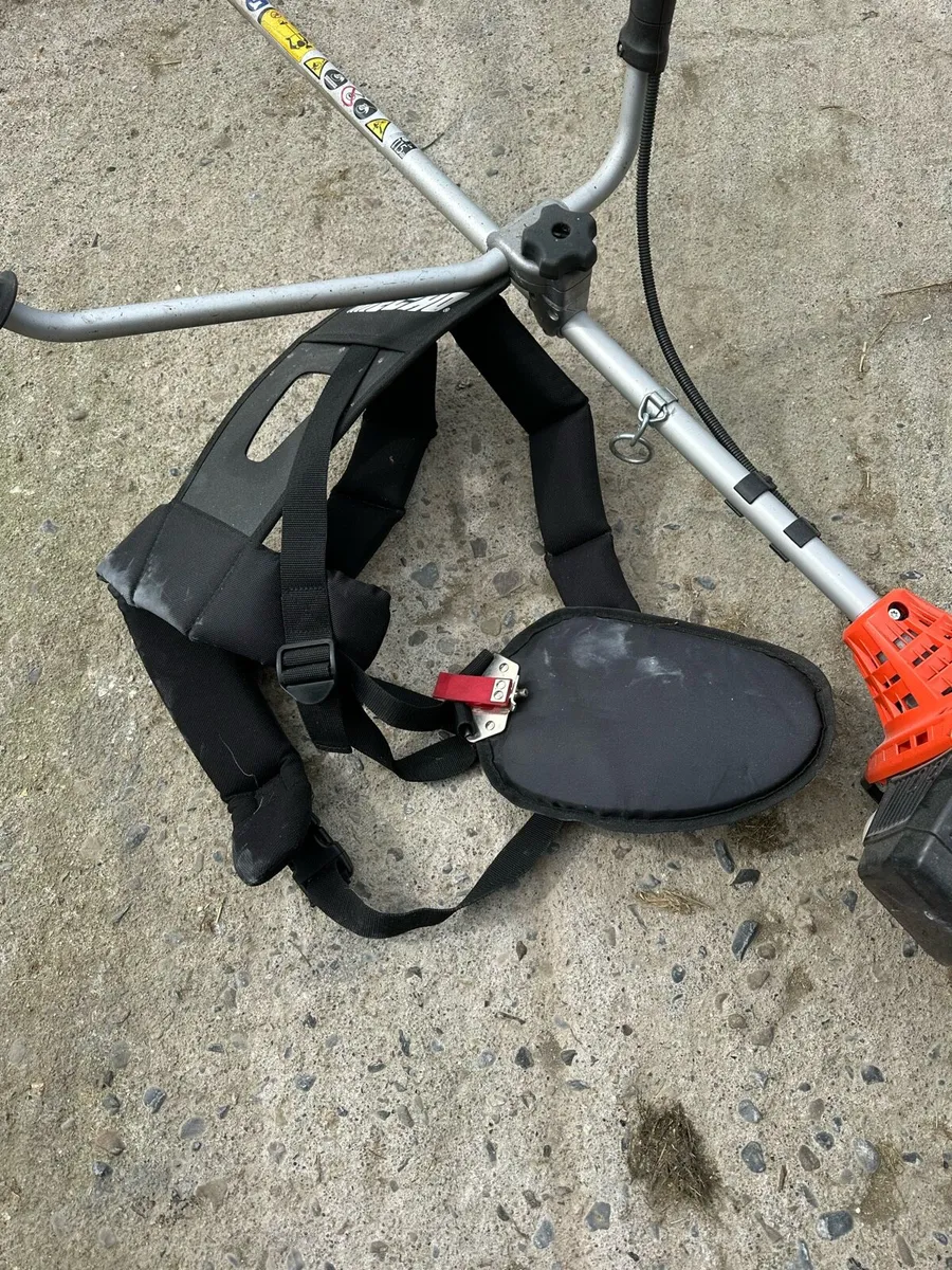 Echo strimmers - Image 1