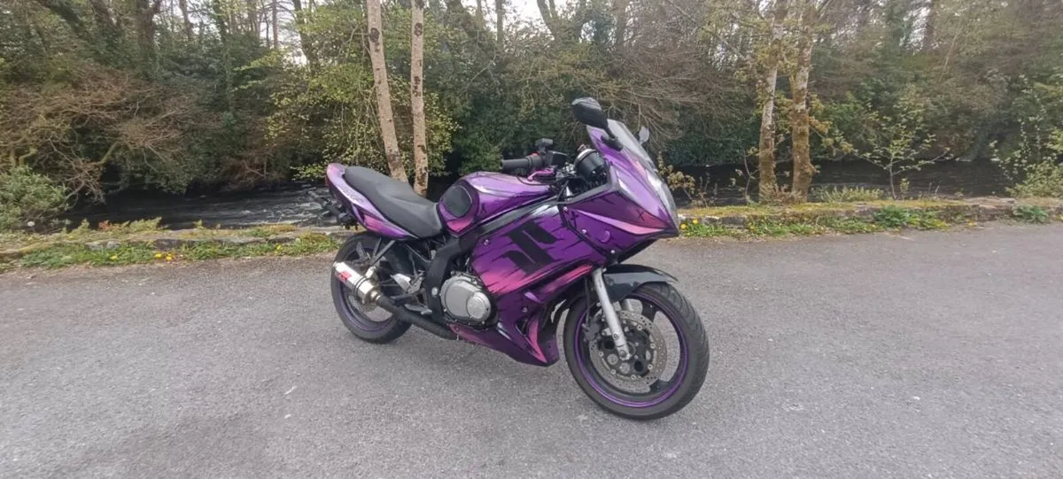 Suzuki GS500F - Image 1