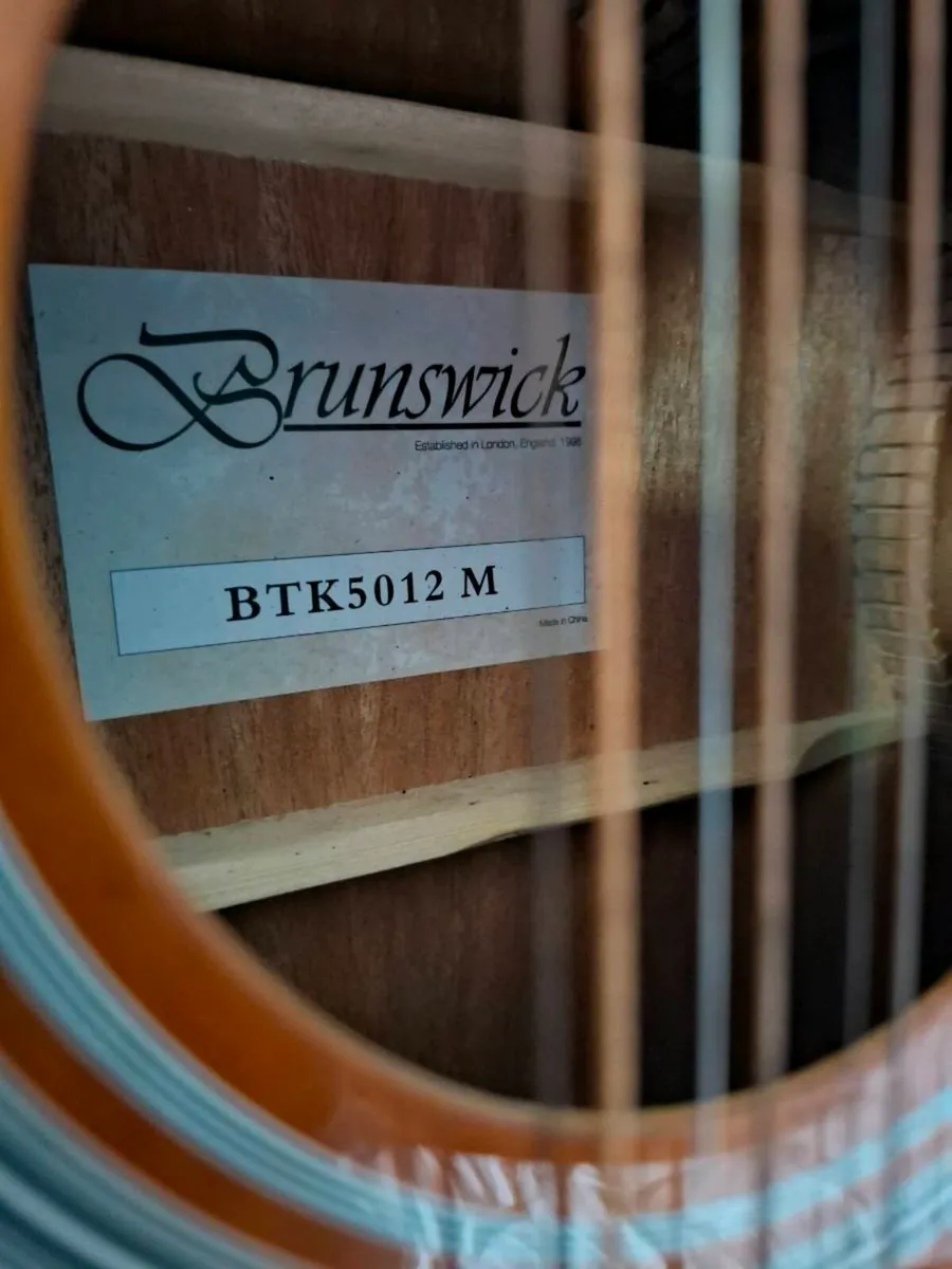 12 string Guitar - Image 3