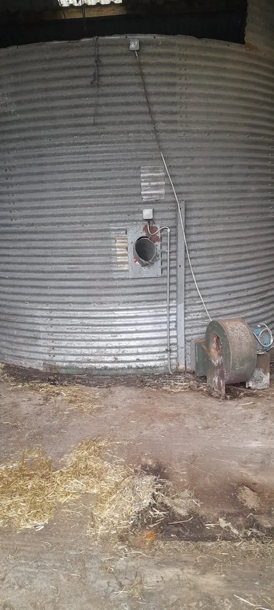 Grain storage/rolling setup for sale - Image 3