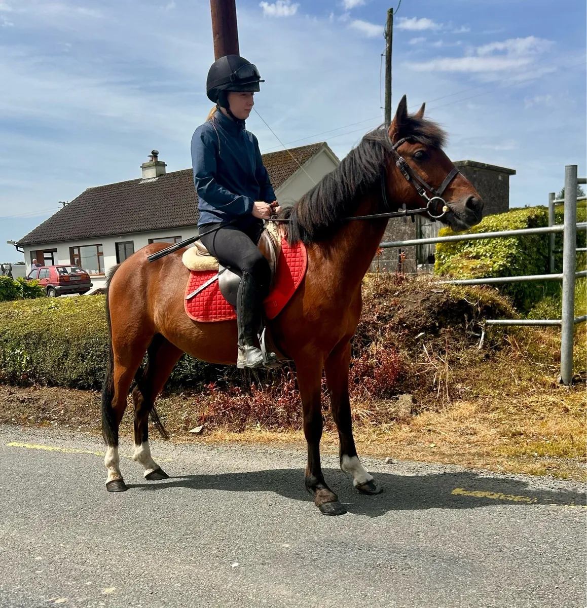 138cm allrounder - Image 3