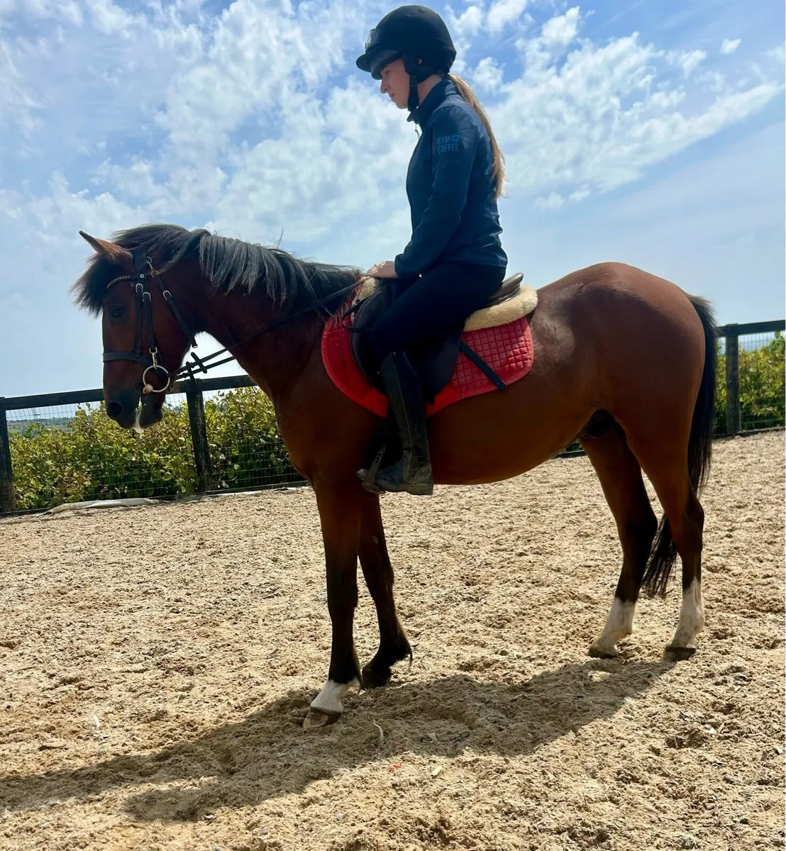 138cm allrounder - Image 2