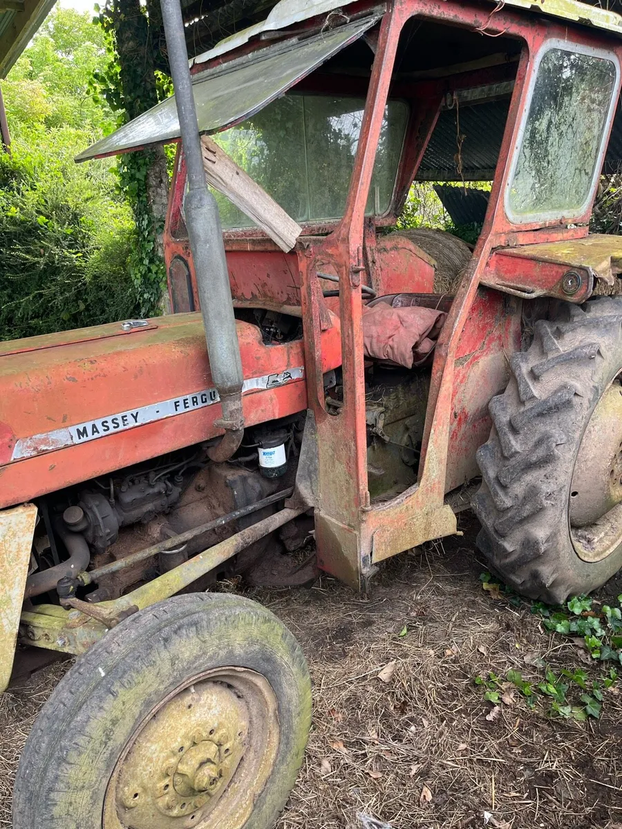 Massey Ferguson 135 - Image 4
