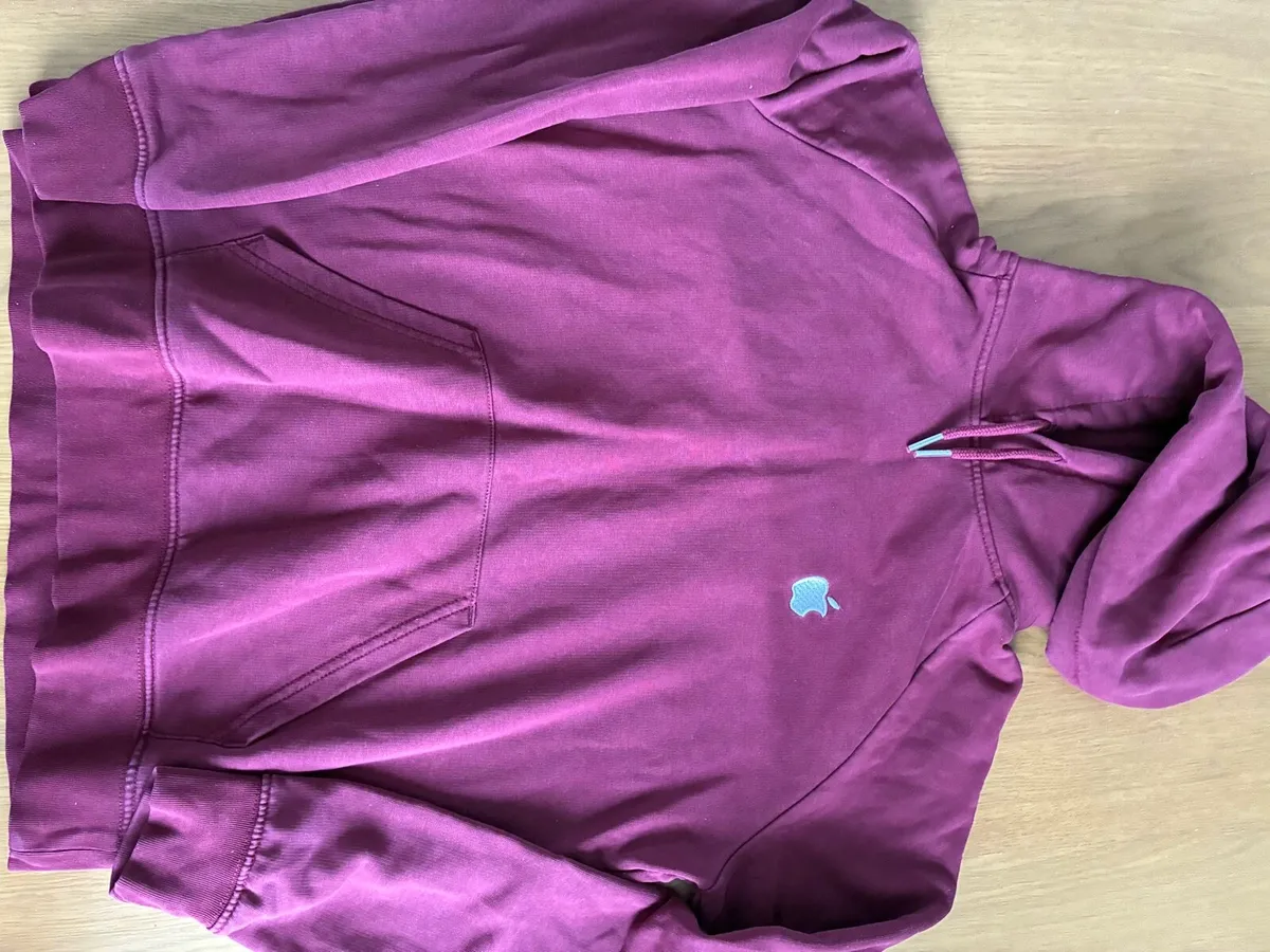 Apple logo hoodie - Image 1