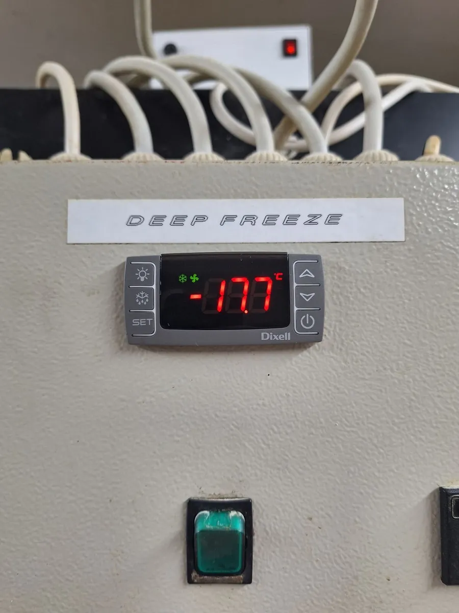 Walk in freezer - Image 2