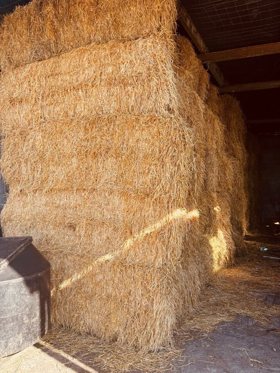 Straw - Image 1