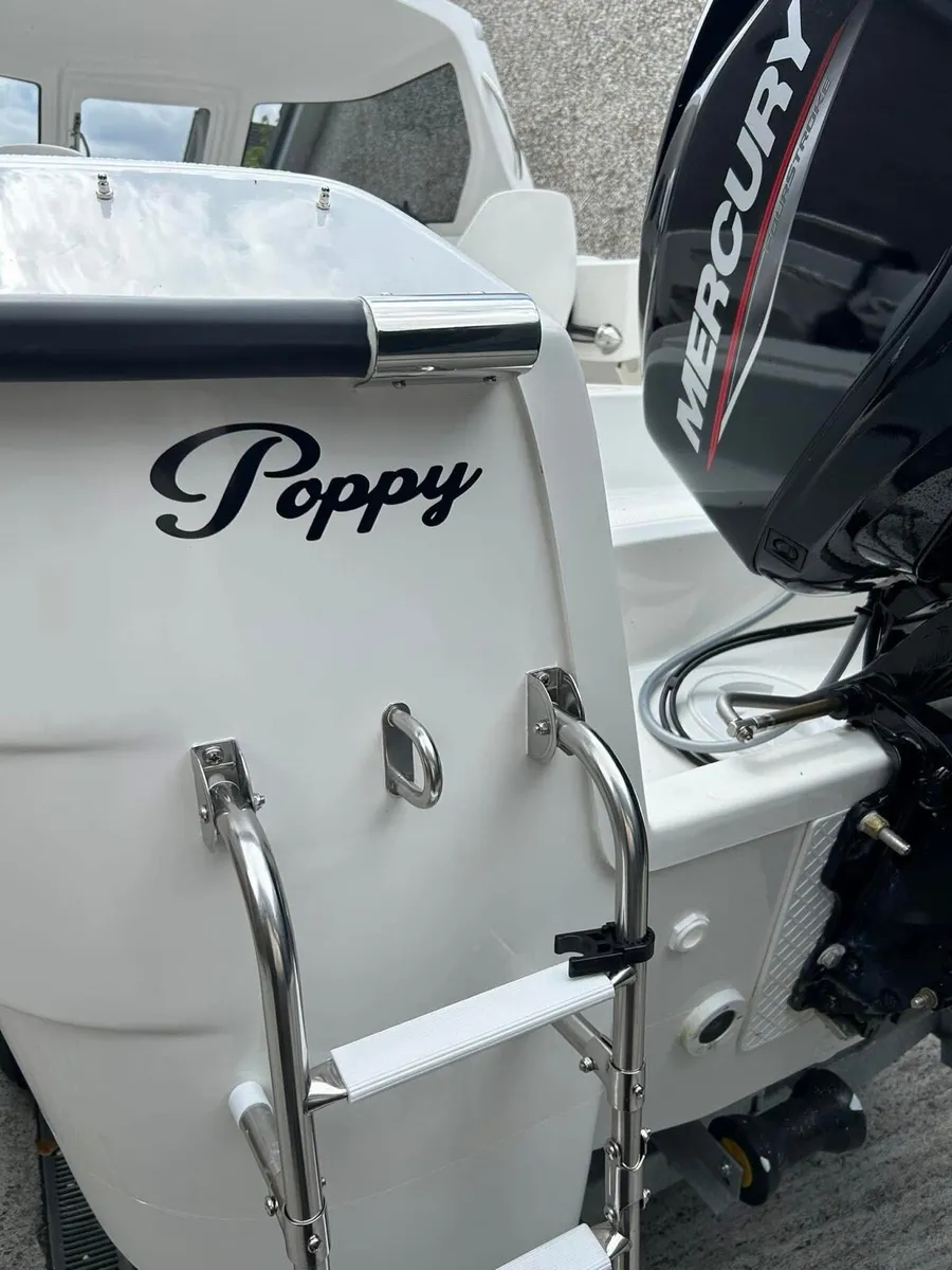 Cuddy 18 with 60hp Mercury ( 34hours) - Image 2