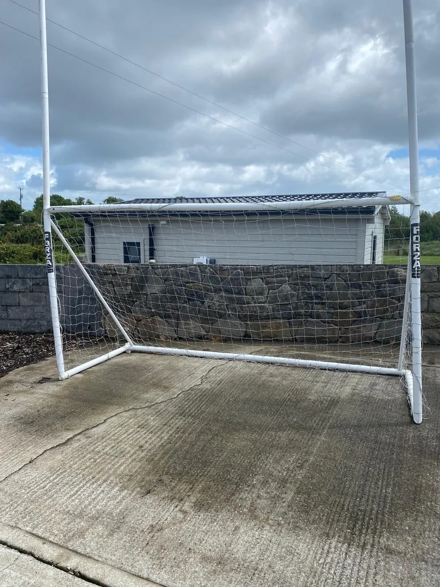 Gaelic goals - Image 1