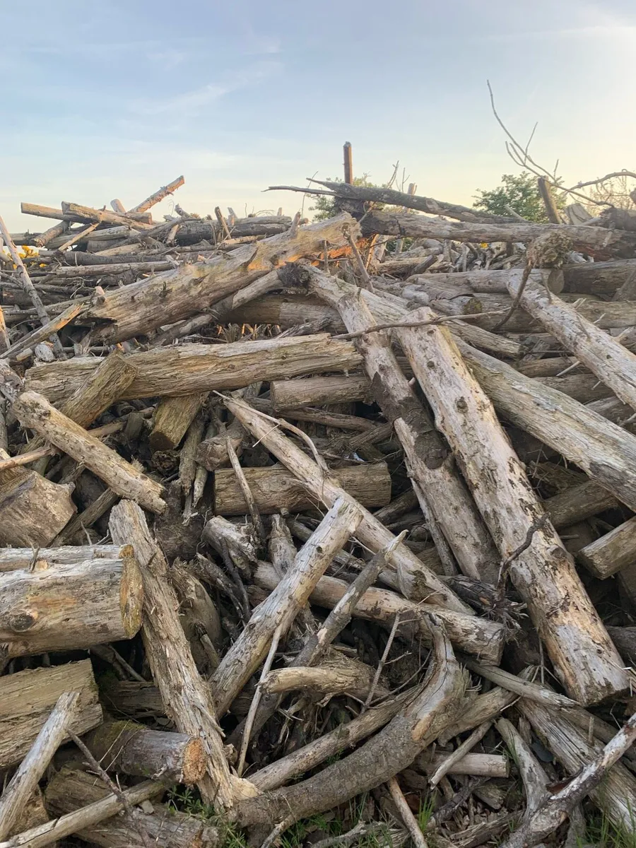 Firewood timber available for collection - Image 3