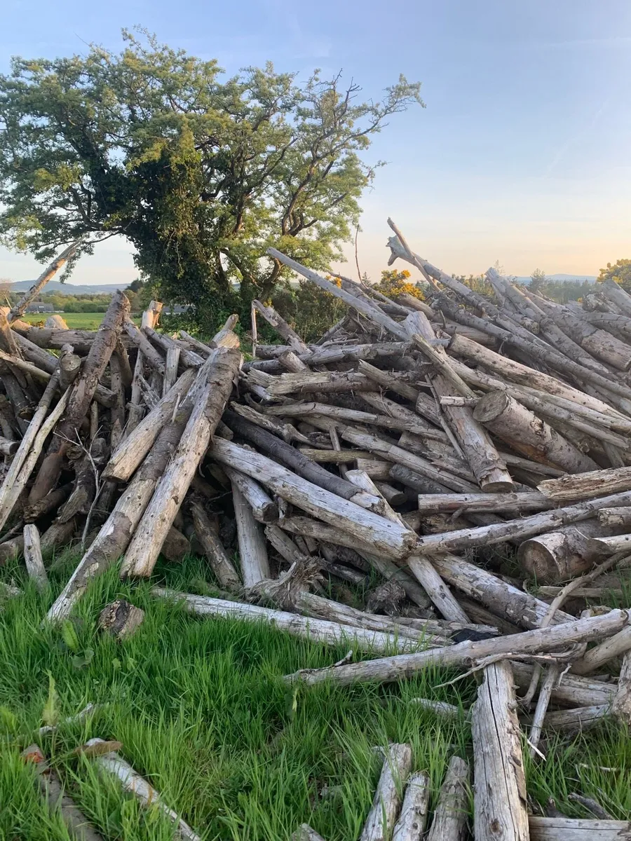 Firewood timber available for collection - Image 4