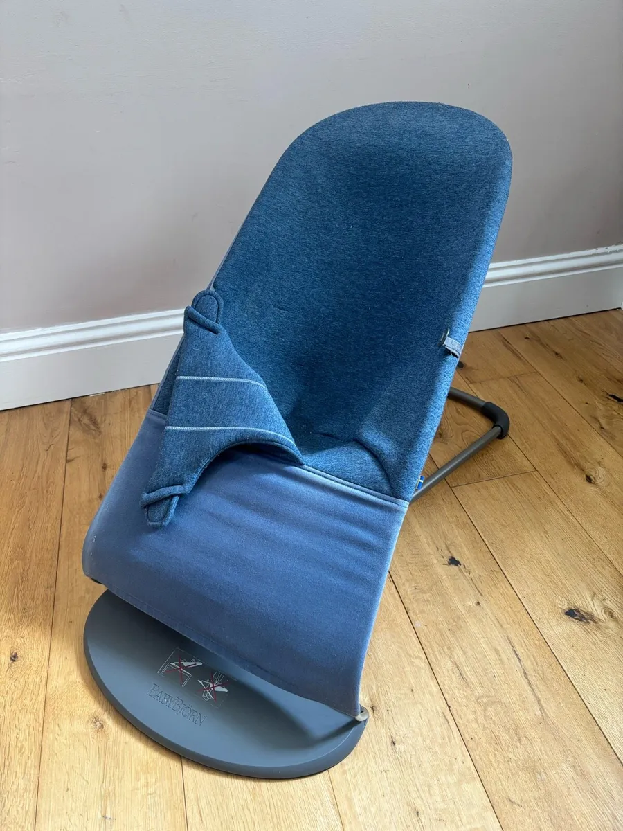 BabyBjorn Baby Bouncer - Image 1