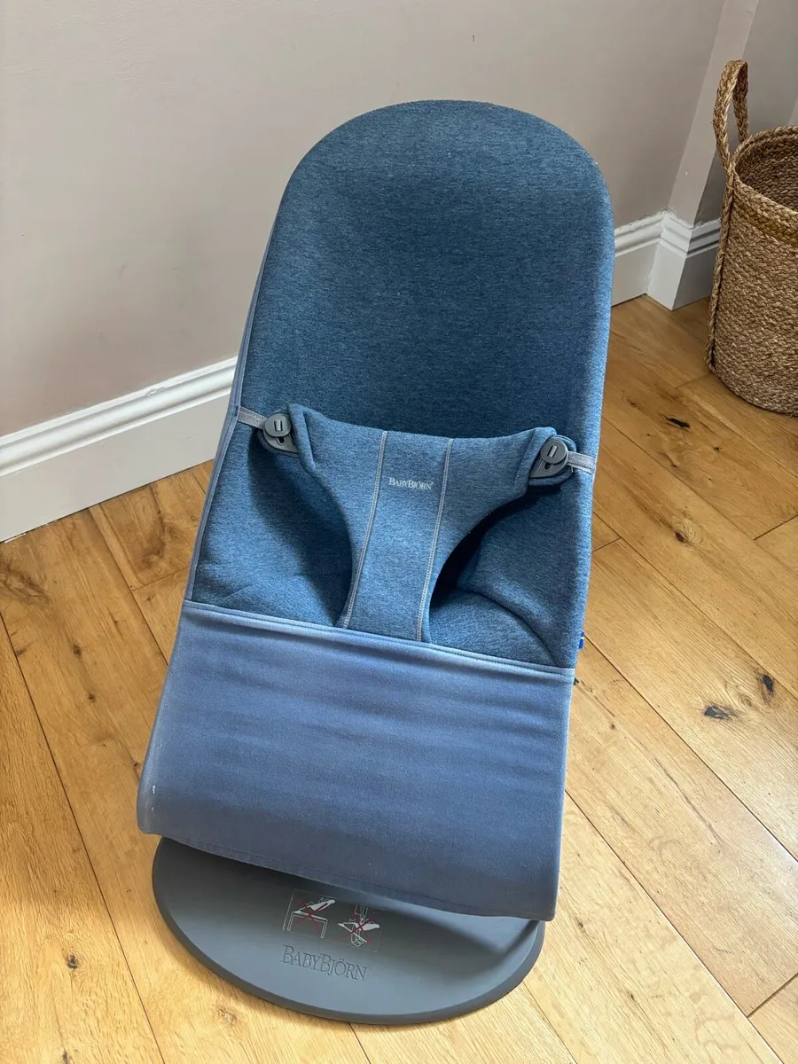 BabyBjorn Baby Bouncer - Image 2
