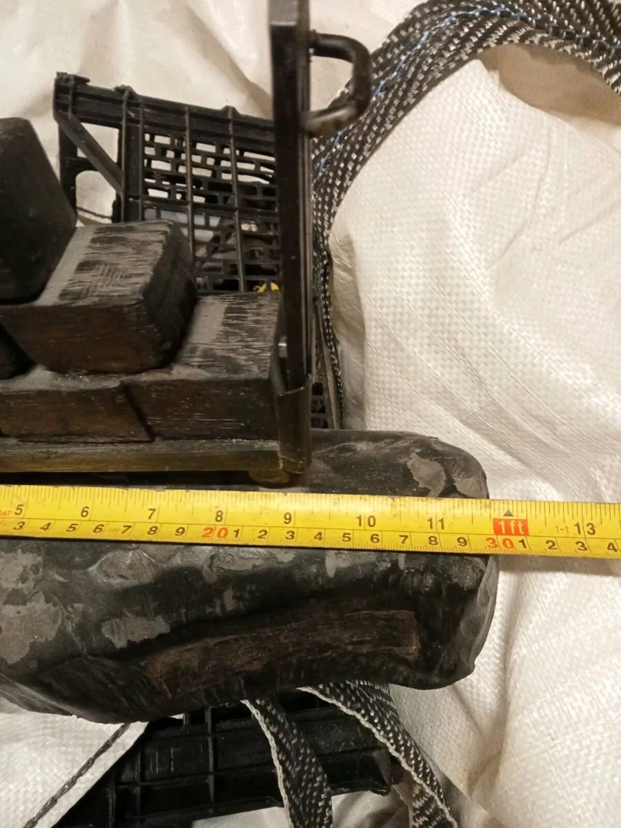Old Irish bog oak - Image 3