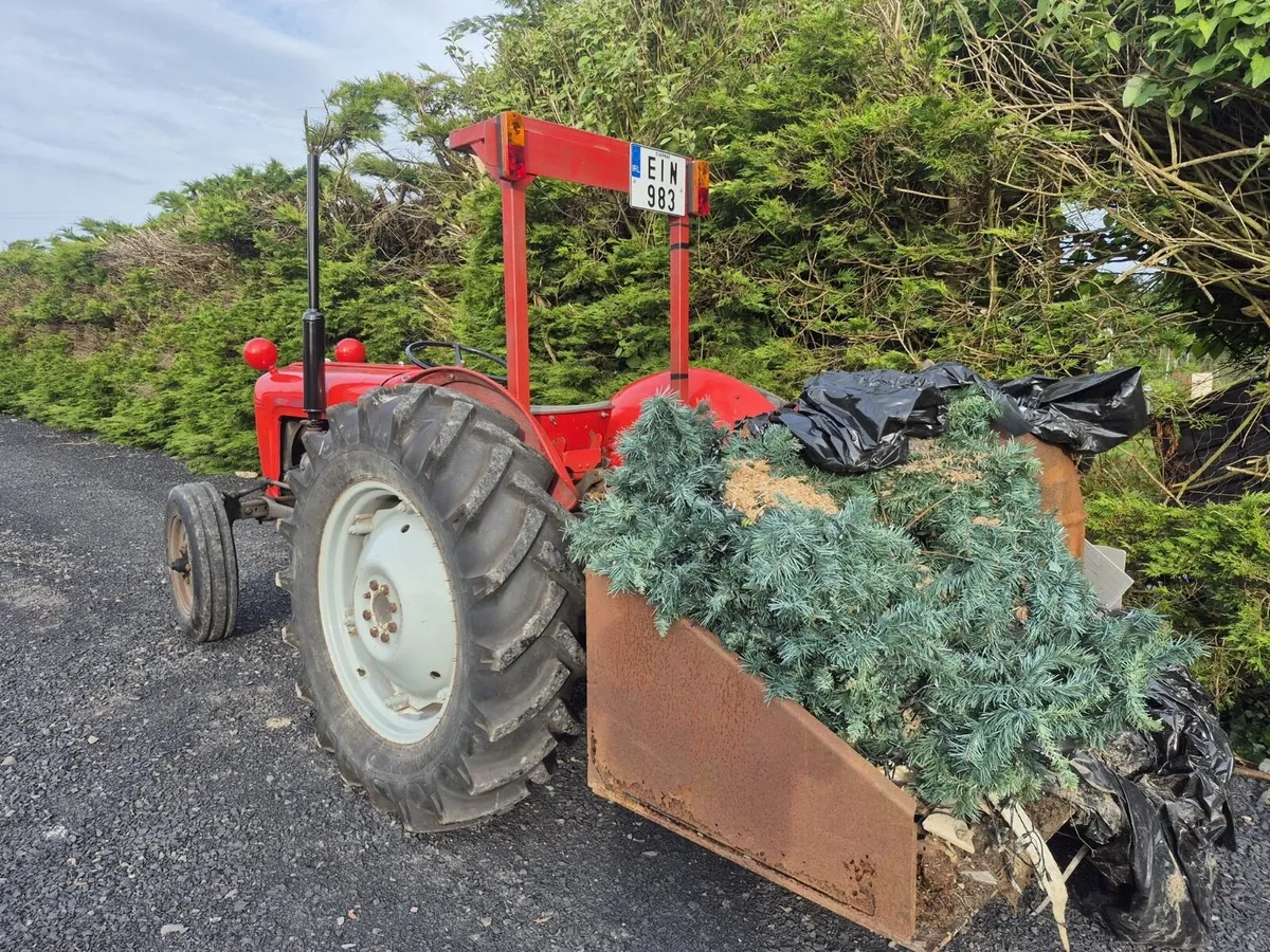 Massey Ferguson 35 - Image 4