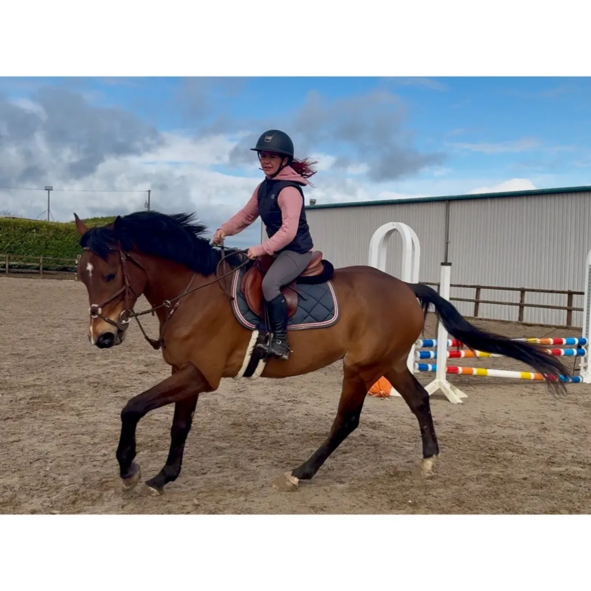 Horse - Image 2