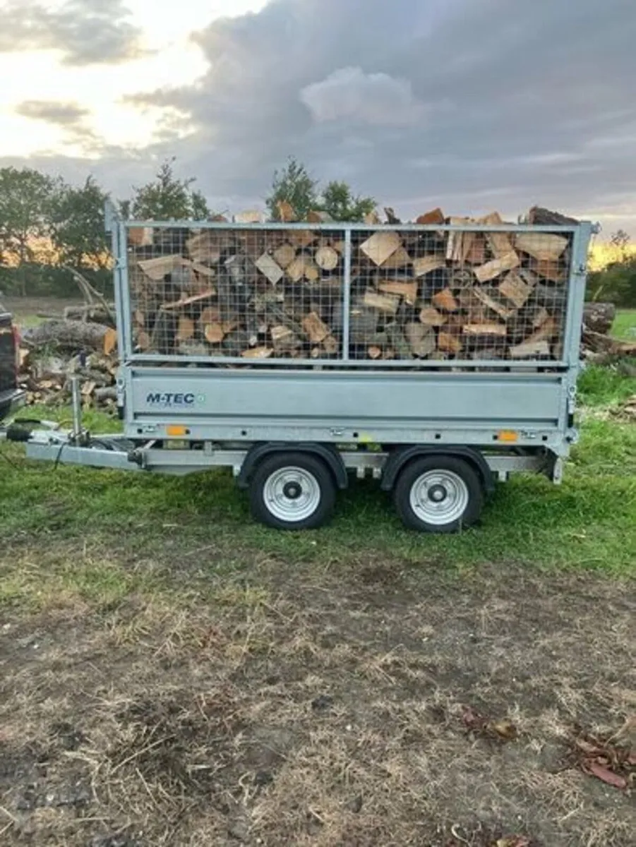 Softwood firewood - Image 2