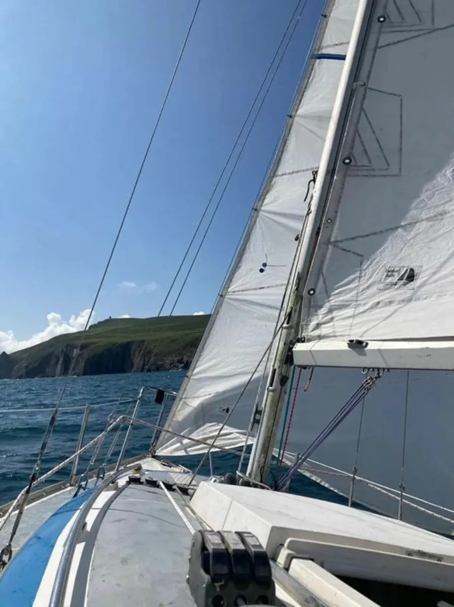 22 Sail Boat, Dingle Mooring (31/3/2027) & Trailer - Image 2