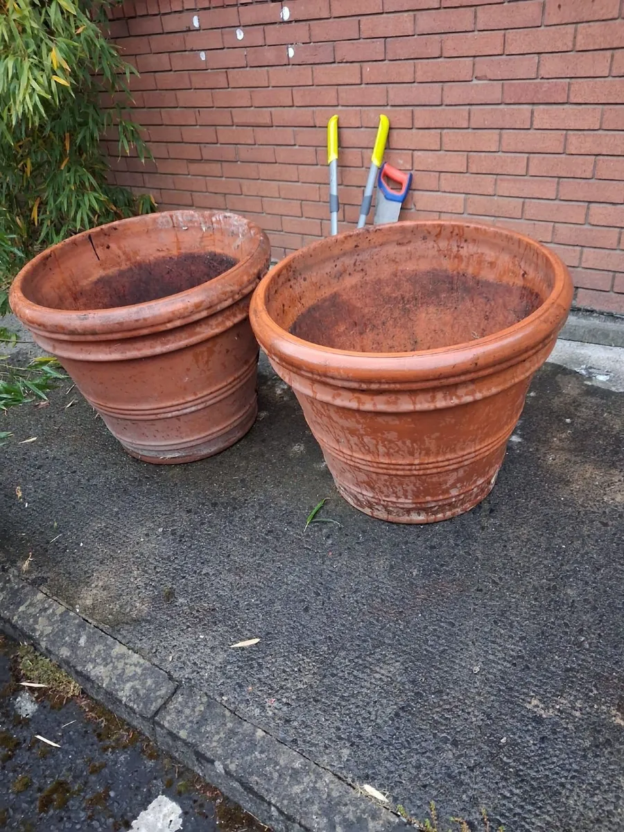 Teracotta plant pots