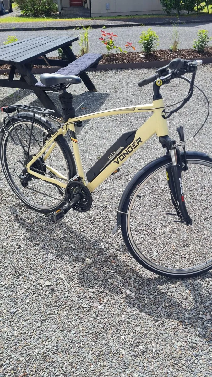 Electric bicycle - Image 1