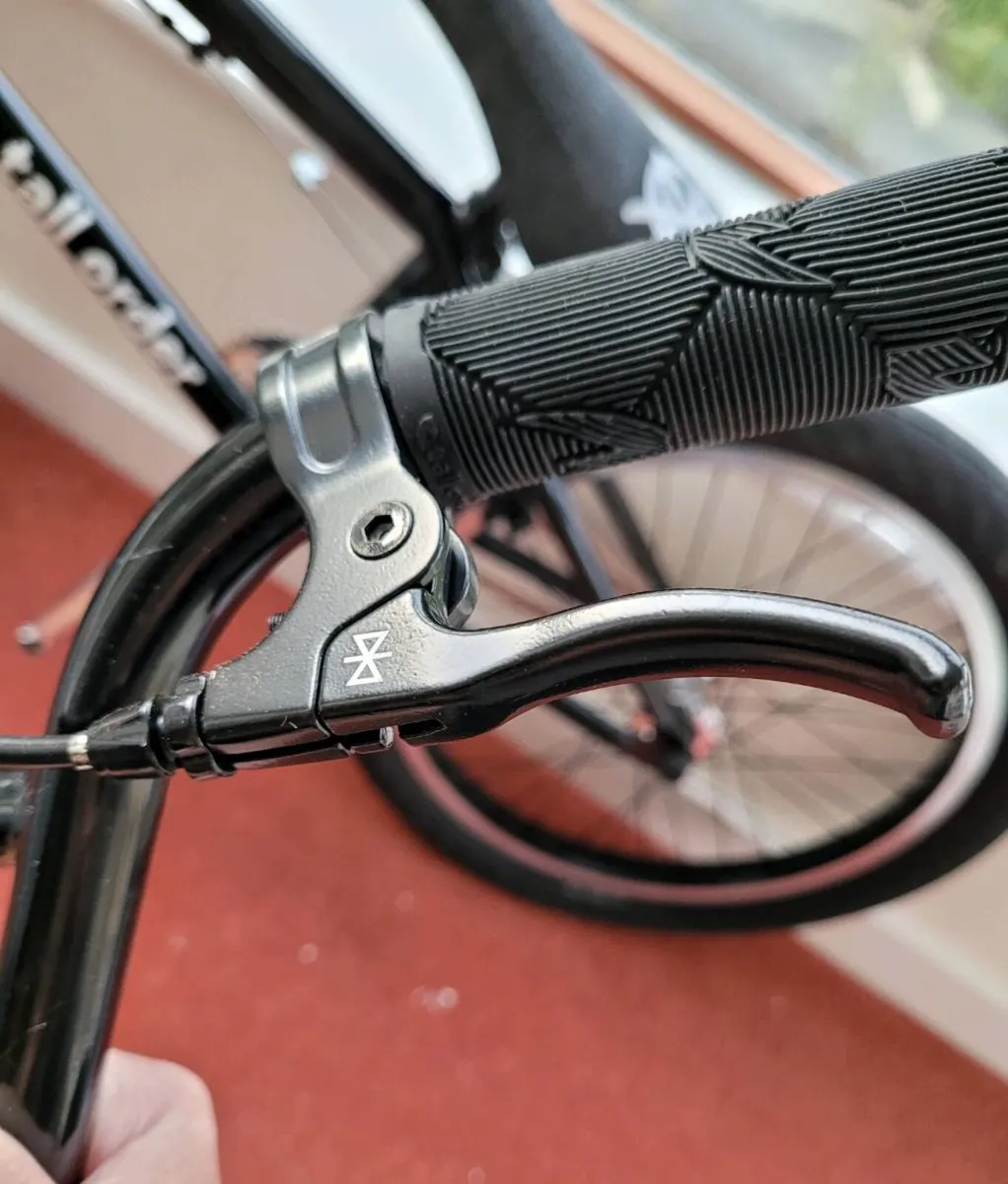 New Tall Order Custom Bmx - Image 2