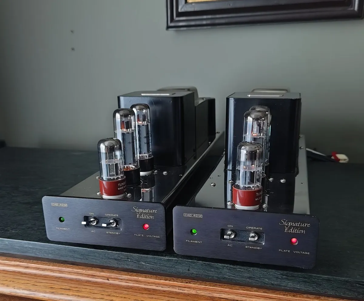 Cary Audio CAD-40M MkII pure Class A monoblock amp - Image 1