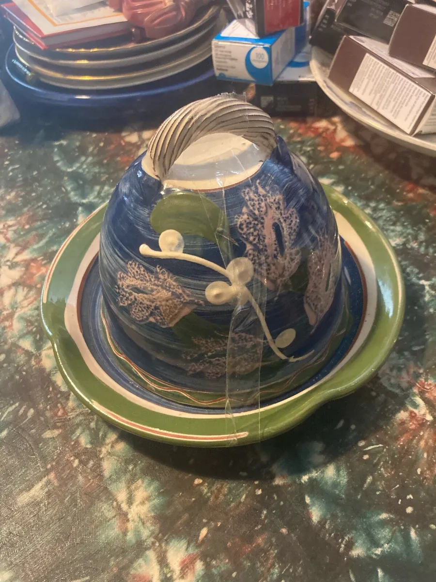 Judy greene pottery cheese dome free postage - Image 1