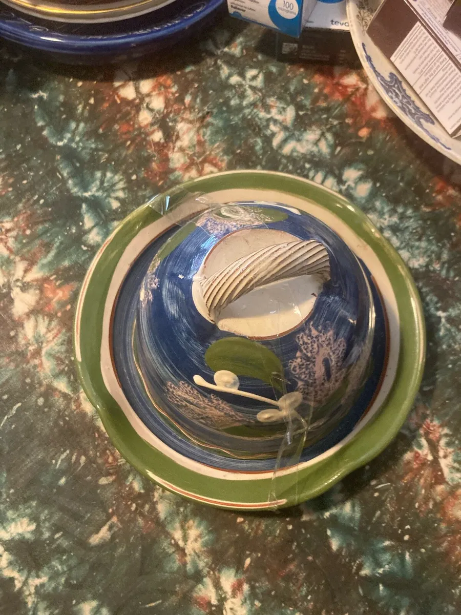 Judy greene pottery cheese dome free postage - Image 2