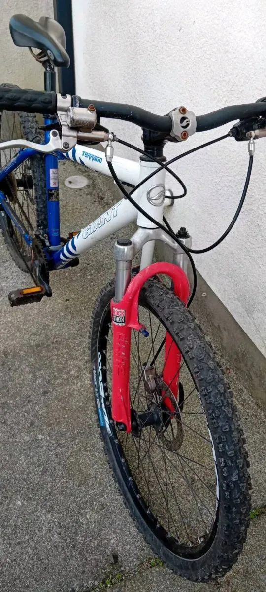 Giant bike - Image 2