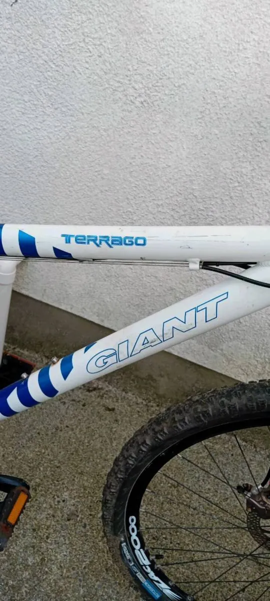 Giant bike - Image 4