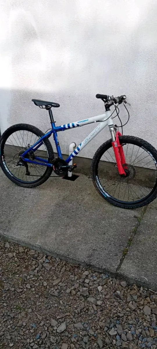 Giant bike - Image 1