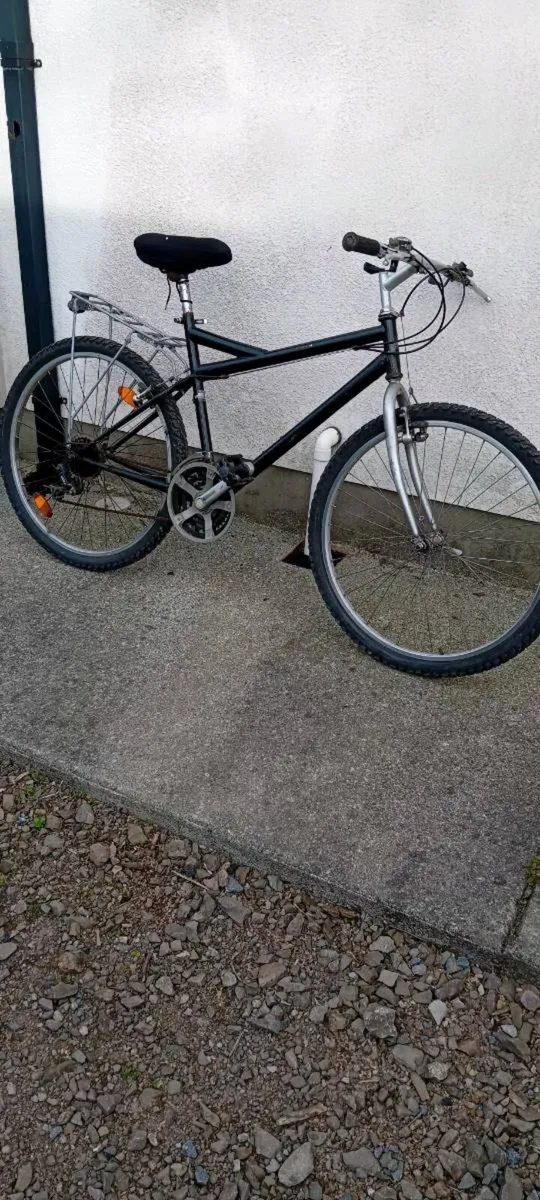 Adult bike - Image 1