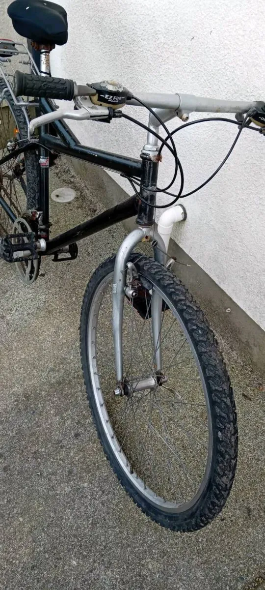 Adult bike - Image 2