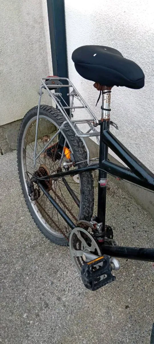 Adult bike - Image 3