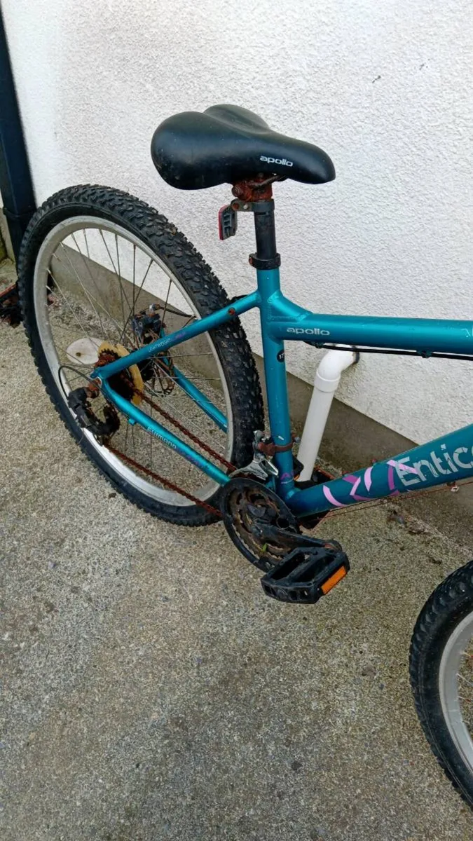 Adult women bike - Image 3