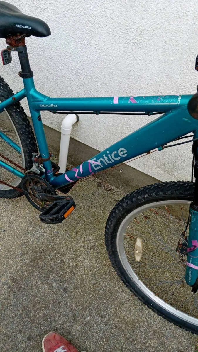 Adult women bike - Image 4