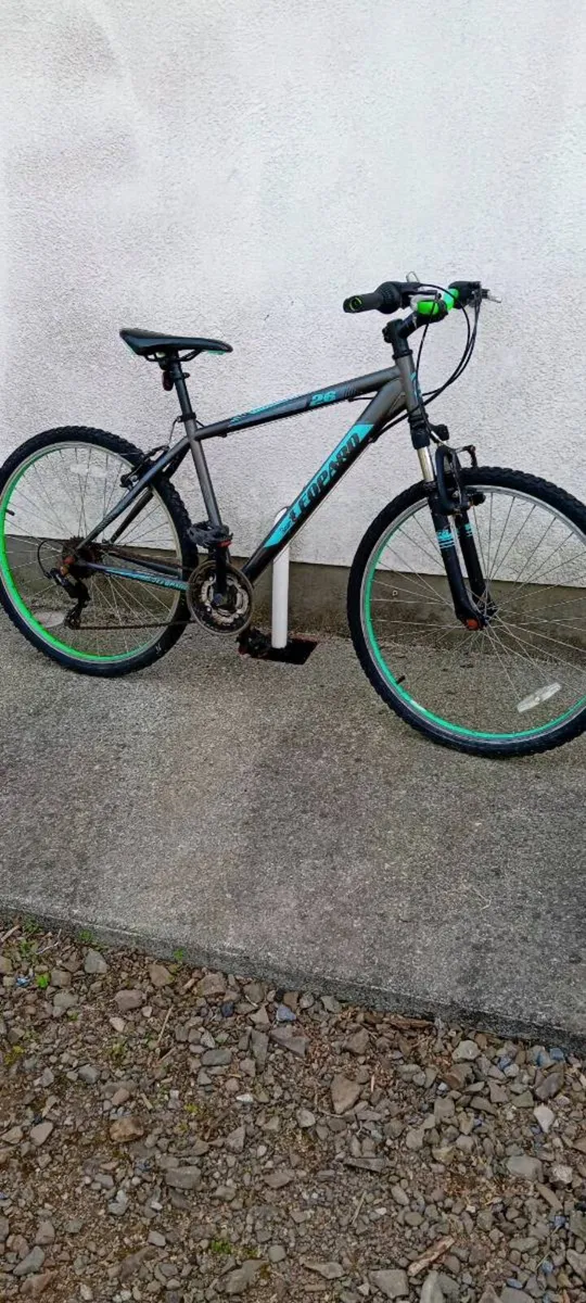 Adult bike - Image 1