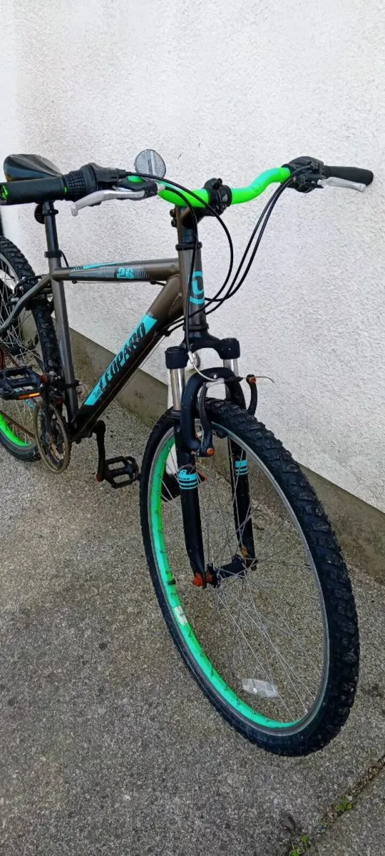 Adult bike - Image 2