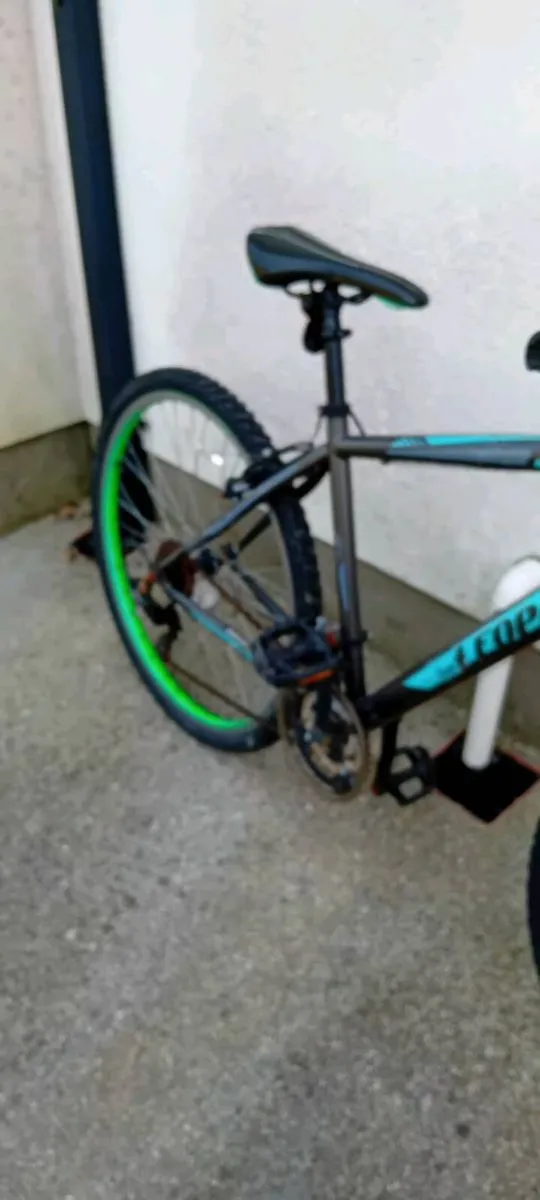 Adult bike - Image 3